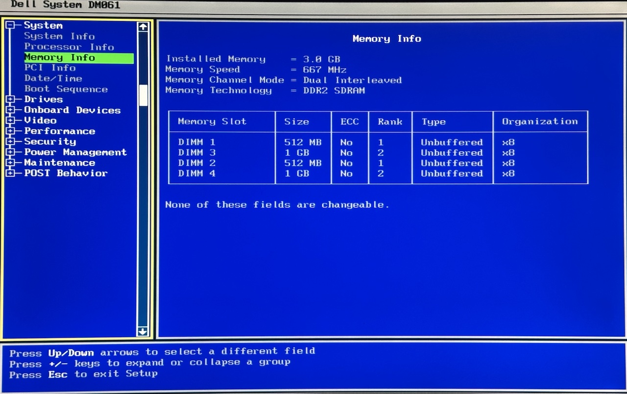 E520 BIOS screen showing 3GB of DDR2-667 in dual interleaved mode
