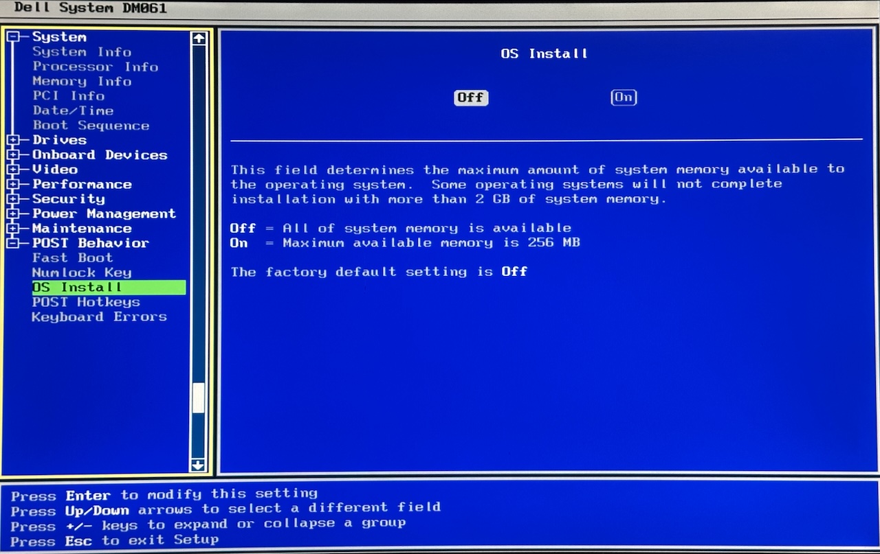 The E520 BIOS "OS Install" option, which caps RAM at 256MB